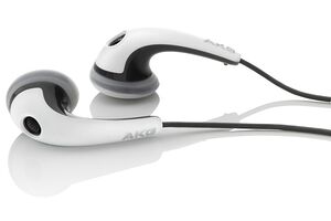 AKG K 313