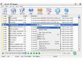 Arial CD Ripper v1.7.4
