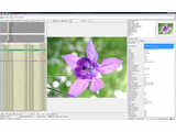 WildBit Viewer (Portable) v5.8