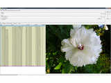 WildBit Viewer (Portable) v5.8
