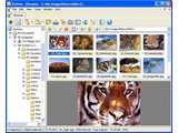 XnView (Complete version) v1.98.4