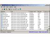 NirSoft ChromeCacheView v1.35