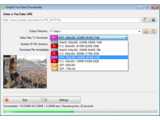 VSVideoDownloaderLite (64-bit) v0.1.1.601