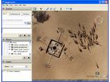 Google Earth v4.0.2737