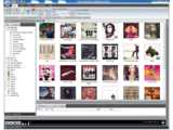 eXtreme Music Manager v1.0.2.1