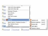 FlashGot v1.0.4.4