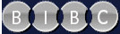 BiBC presents video download service