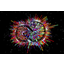 Adobe says Web-based Creative Cloud subscriptions growing strongly Adobe says Web-based Creative Cloud subscriptions growing strongly